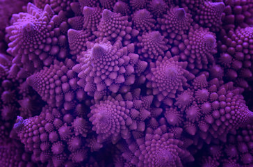 close up of plant leaves, purple or Ultra Violet tones
