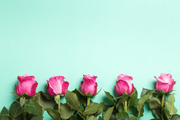 Pink roses on light green background. Top view