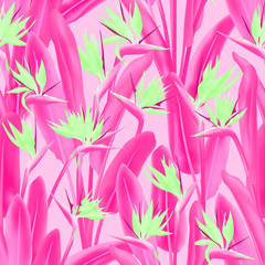 Strelitzia reginae tropical flower vector seamless pattern. Jungle plant paradise tropical summer fabric design. South African plant tropical blossom of crane flower, strelitzia. Floral textile print.