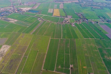 Aerial view green rice plantation in rural village