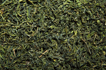Green Chinese tea background 