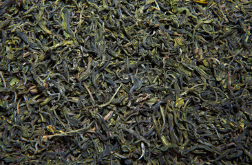 Green Chinese tea background 