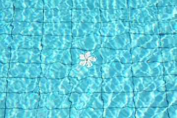 Pool water background. Blue water tiles texture