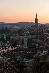 Naklejka premium Sonnenuntergang während Kirschblüte in Bern mit Berner Münster und Altstadt