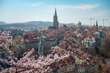 Obraz premium Frühlingsmorgen in Bern mit Berner Münster und Altstadt