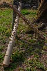 Artistic Bamboo Exhibition in Japan 