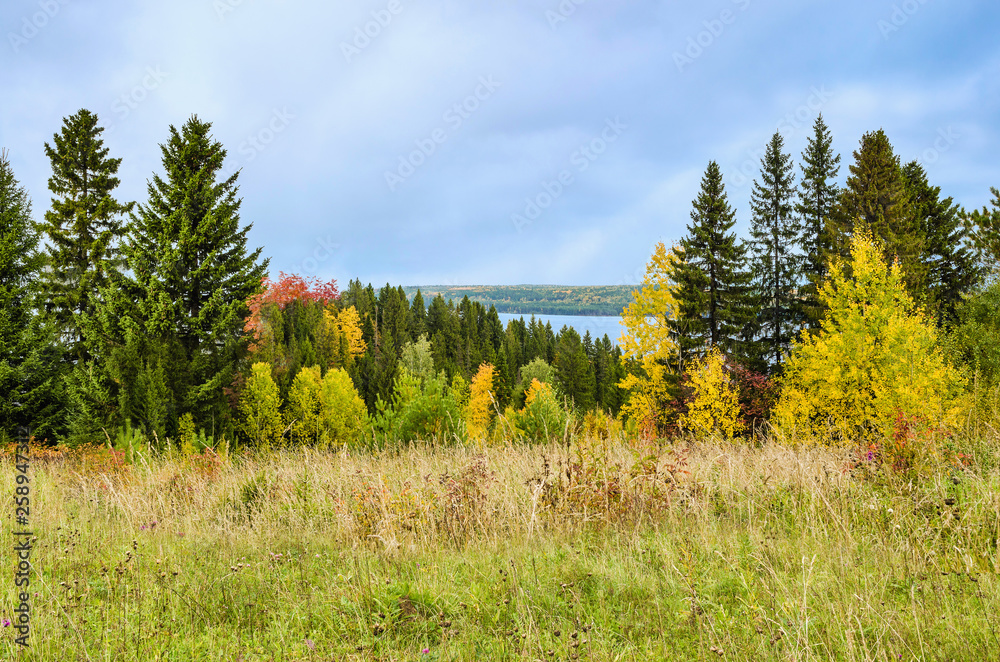 Wall mural autumn meadow with hills, colorful trees and bushes in cloudy weather..