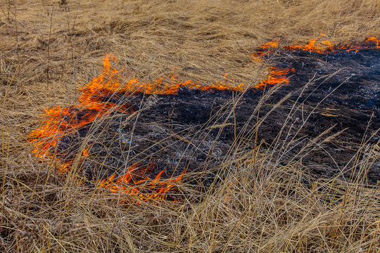 Burning dry grass. The fire spreads in different directions with each passing minute.