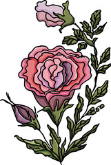 Beautiful rose.Vector illustration.