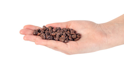 hand holding roasted coffee beans isolated on white background