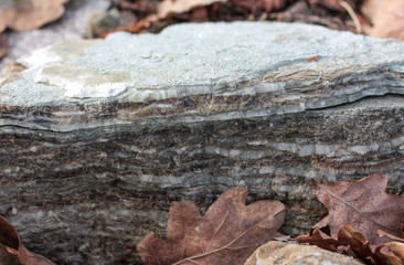 stone texture or background
