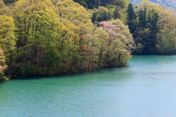 春の湖畔