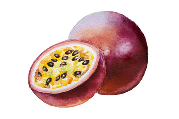 Hand drawn watercolor painting on white background. Watercolor illustration of passion fruit