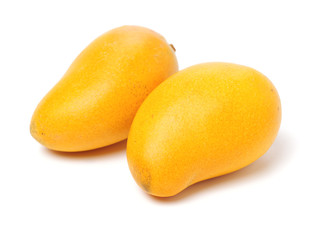 Mango on white background