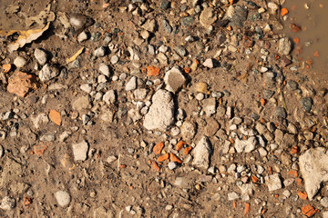 kamienie na ziemi © David0712