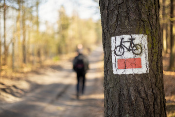 spacer po lesie © David0712