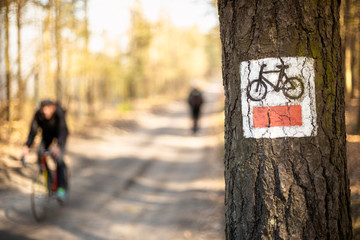 ścieżka rowerowa w lesie - obrazy, fototapety, plakaty
