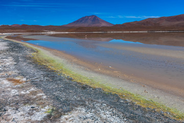 Laguna Colorada, means Red Lake is a shallow salt lake in the southwest of the Altiplano of Bolivia
