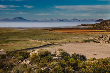 Laguna Colorada, means Red Lake is a shallow salt lake in the southwest of the Altiplano of Bolivia
