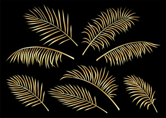 tropical set of golden hand drawn palm leaves