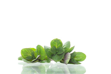 bunch of fresh green mint on white background