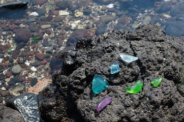 colorful beachgrasses on a rock