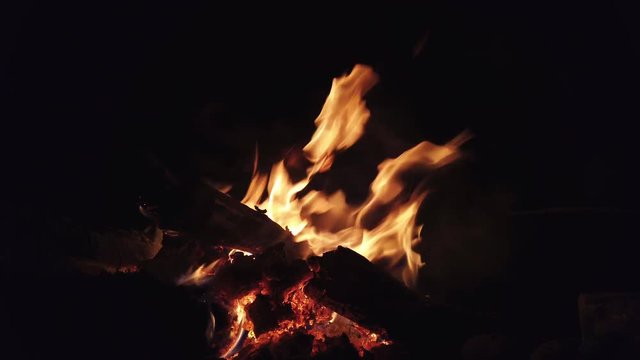  4K Video Selective focus close up shot of Flames burning firewood. Bonfire in outdoors campfire on black background at night. 