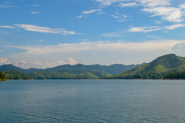 Natural forest floor Halabala National Park in southern Thailand