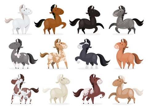 Horse wild or domestic animal set . Collection