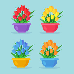 Bouquet set of red tulip, roses, bunch of flowers in pot isolated on background. Happy woman day, birthday, wedding concept. Gift, present, surprise for mothers. Spring home plant. Vector flat design