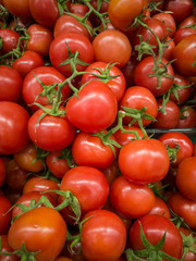 Red tomatoes background