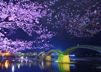 Foto auf Acrylglas Kintai-Brücke 錦帯橋と桜のライトアップ