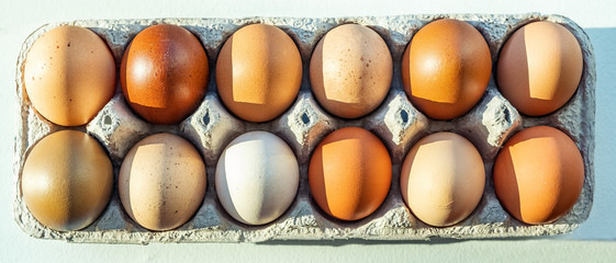 Colorful organic eggs from pasture raised chicken © Oksana Perkins