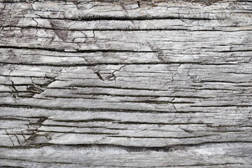 Old wooden surfaces that have been drowned for a long time