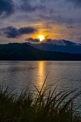 Natural forest floor Halabala National Park in southern Thailand