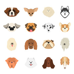 Dog set. Collection of dogs of various breed