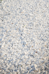 Texture of sea pebbles, light colors, for background