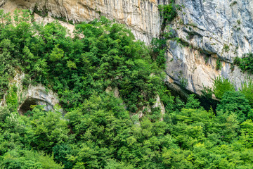 Rocce e vegetazione della montagna