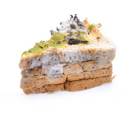 Moldy inedible food. Mold on bread .