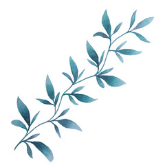 hand drawn watercolor turquoise twig