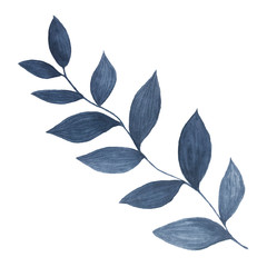 hand drawn watercolor dark blue twig