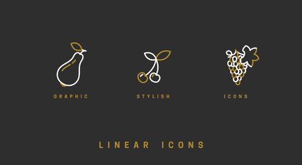 Fruit icons set in linear style. Vector illustration