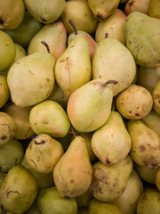 Yellow pears background