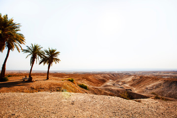View from the Masada on the desert on a sunny day - obrazy, fototapety, plakaty
