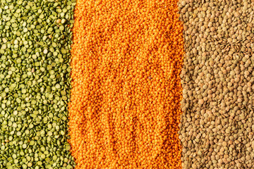 Background with lentils seeds of annual legume plant, they are rich in vegetable protein.
