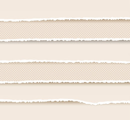 Set of Ripped and Torn Paper Stripes. Texture of Paper with Damaged Edge Isolated on Transparent background. Vector illustration.