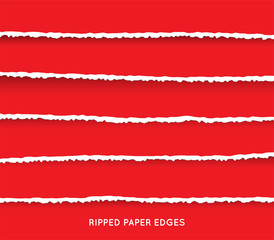 Set of Ripped and Torn Paper Stripes. Texture of Paper with Damaged Edge Isolated on Transparent background. Vector illustration.