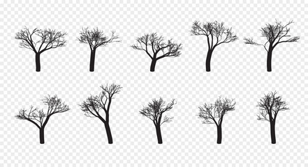 Naked Trees Silhouettes Set. Hand Drawn Isolated. Autumn. Spring. Fall. Vector