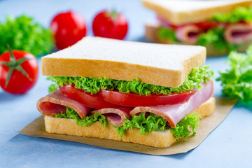 Homemade sandwich with ham, toast bread and fresh vegetables close up on blue background