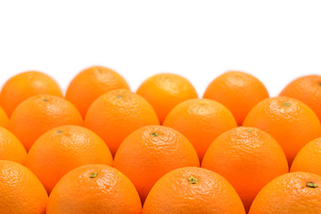 Group of oranges in a row isolated on white background, Space for text or design.